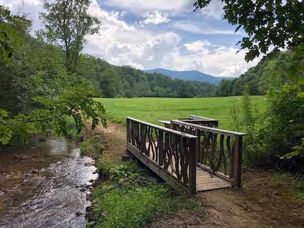 hiking trail in Walnut Cove