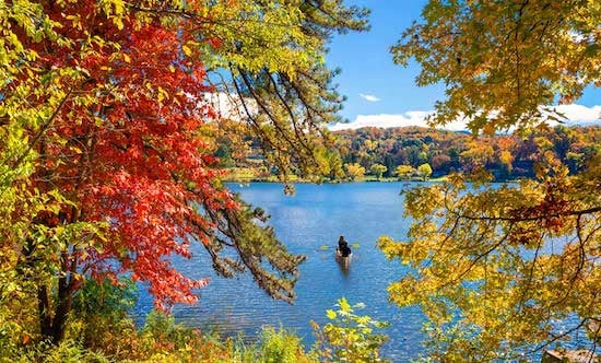 person canoeing on lake in Autumn