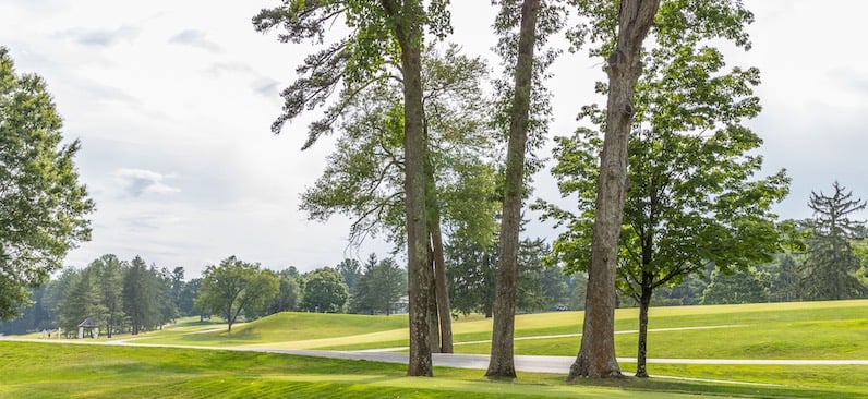 Biltmore Forest golf course summer
