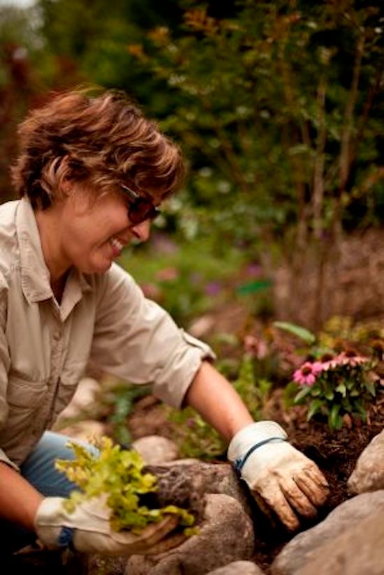 Real Estate The Ramble Walnut Cove Realty