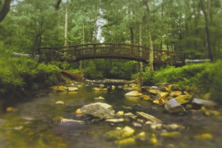 Bow Bridge in summer