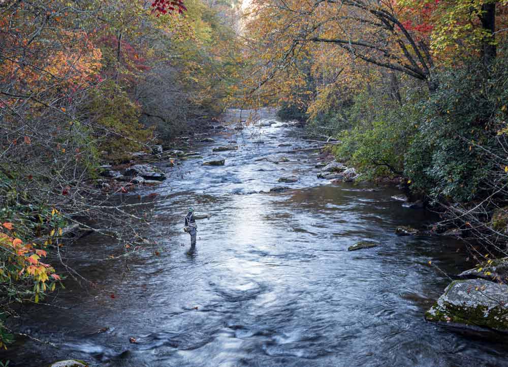 bubbling forest creek in autumn