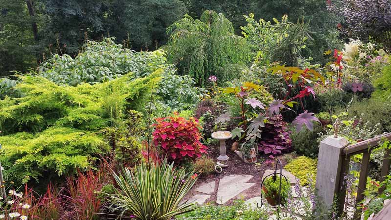 garden in Asheville NC