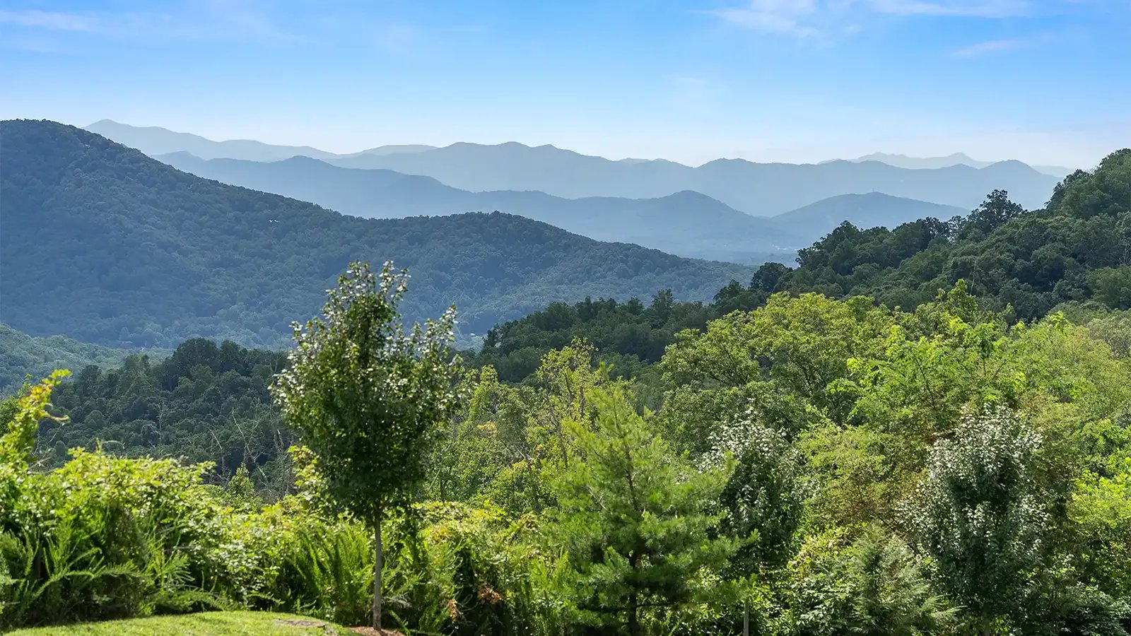 mountains near asheville