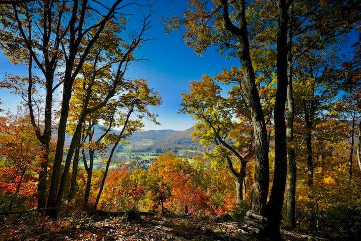 wooded lot autumn