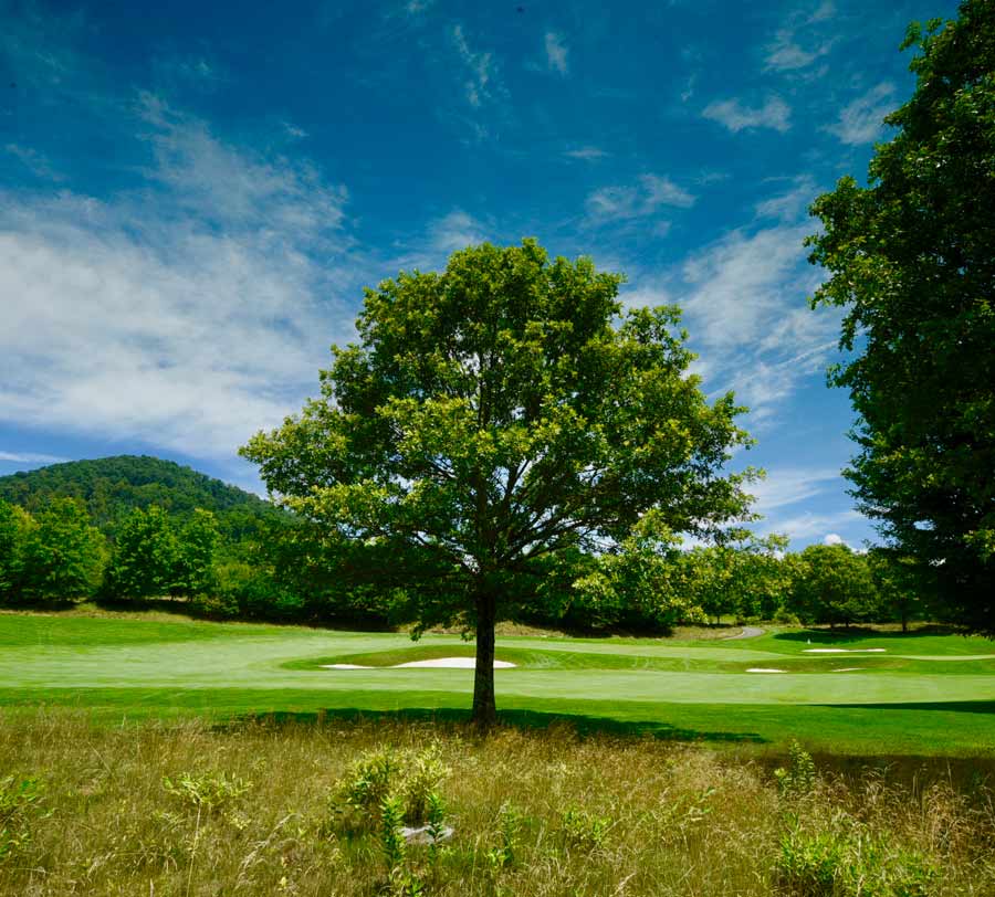 rough at edge of golf course