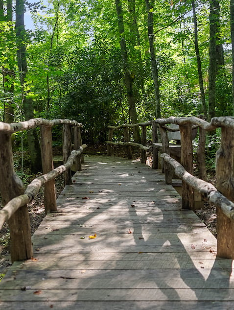 boardwalk trail in Southcliff