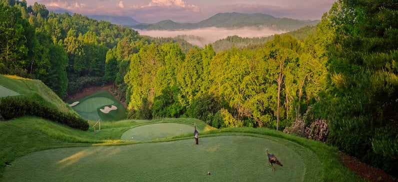champion hills golf course with turkeys