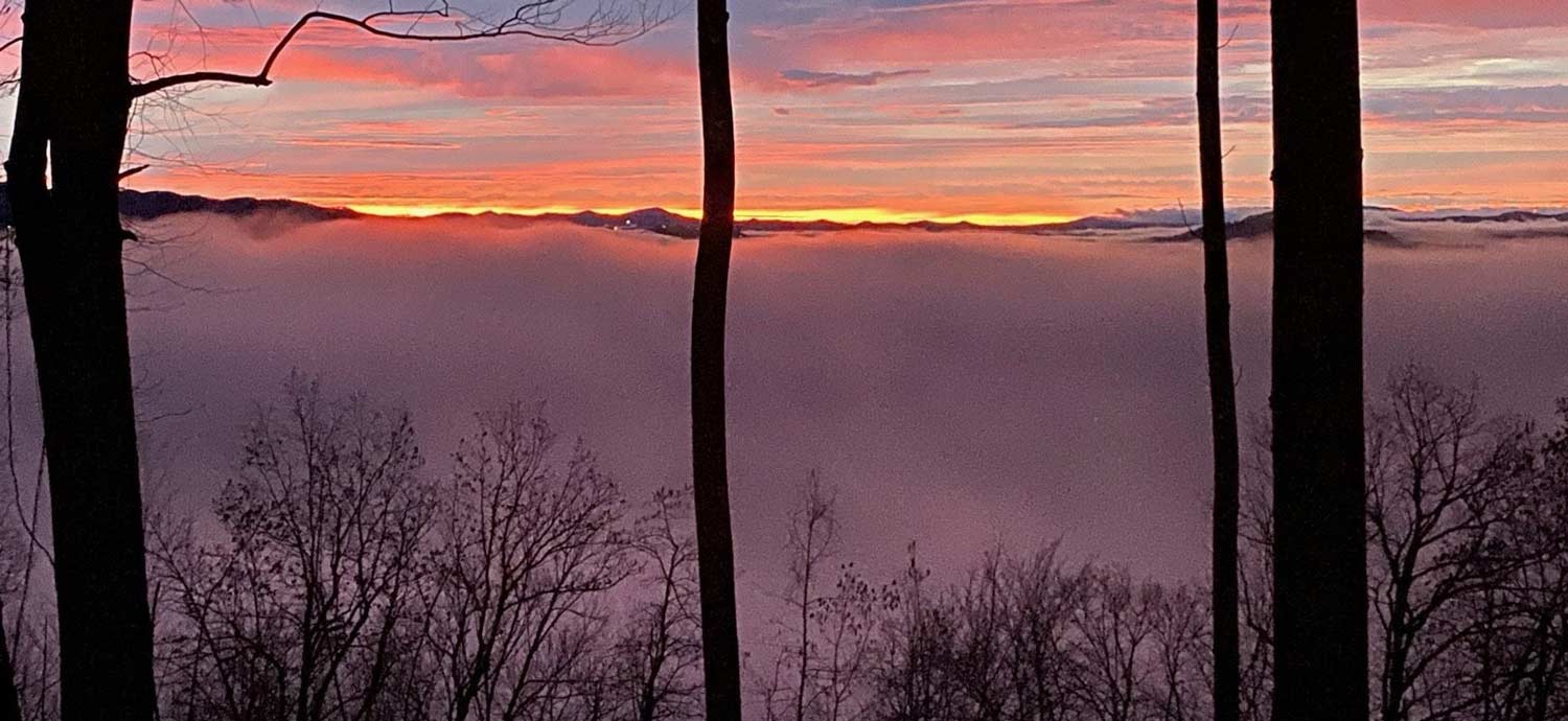 Wellness Walnut Cove Walnut Cove Realty